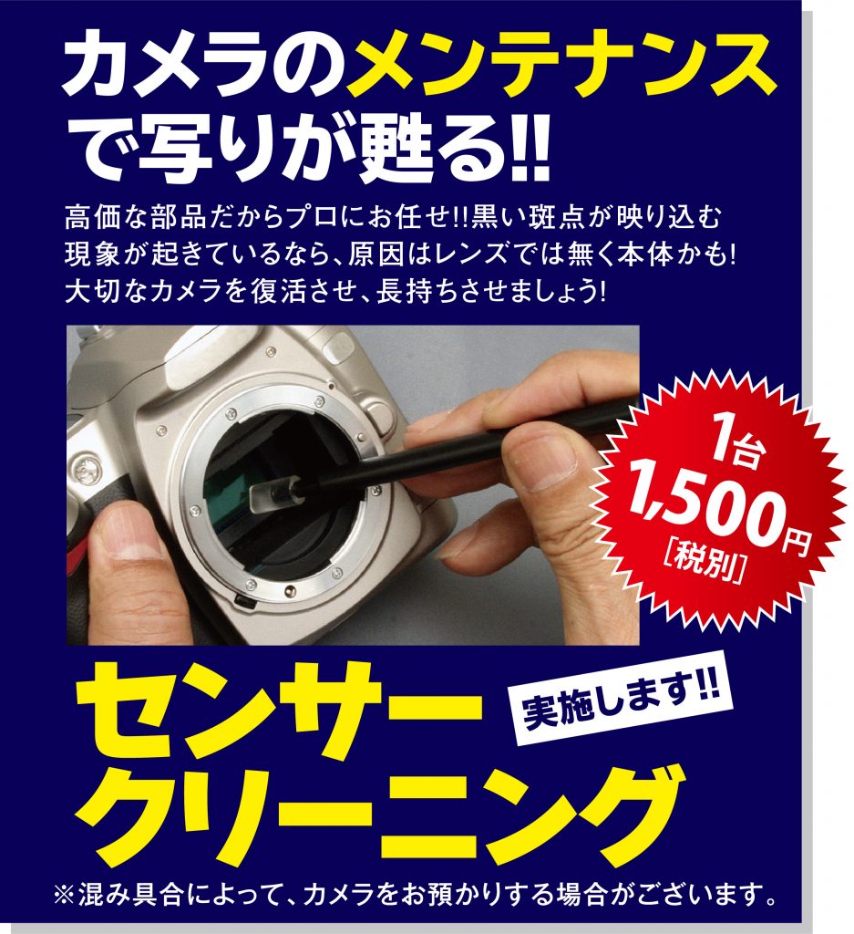 20周年感謝セールお買い得情報②