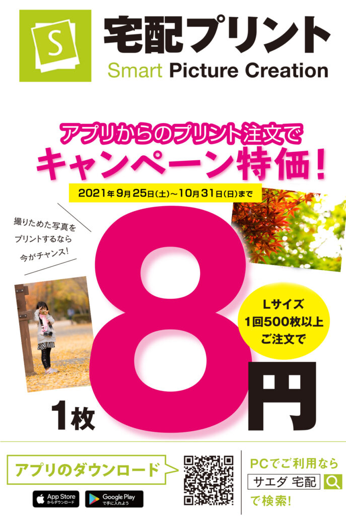 宅配受け取り限定！Lサイズ500枚以上注文で1枚8円 カメラのサエダ